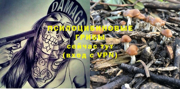 каннабис Инсар